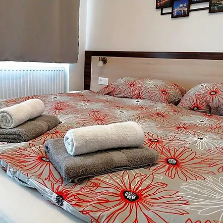 Hostel Vodna 1 *